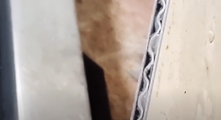 water jet application case